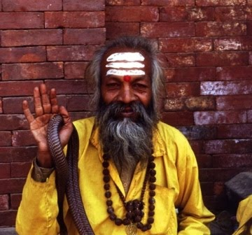 The Hindu devotees make a paste by mixing vibhuhti with water and apply it as three horizontal lines across the forehead and other parts of the body to please Lord Shiva. Vibhuthi smeared across the forehead to the end of both eyebrows is called Tripundra.